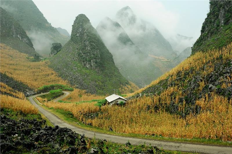 Đồng Văn